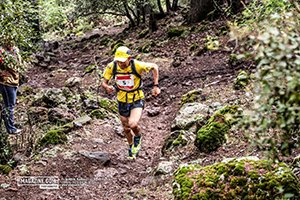 Trail Des Cèdres 2023 (Edition 14)